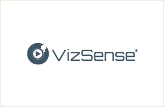 Vizsense